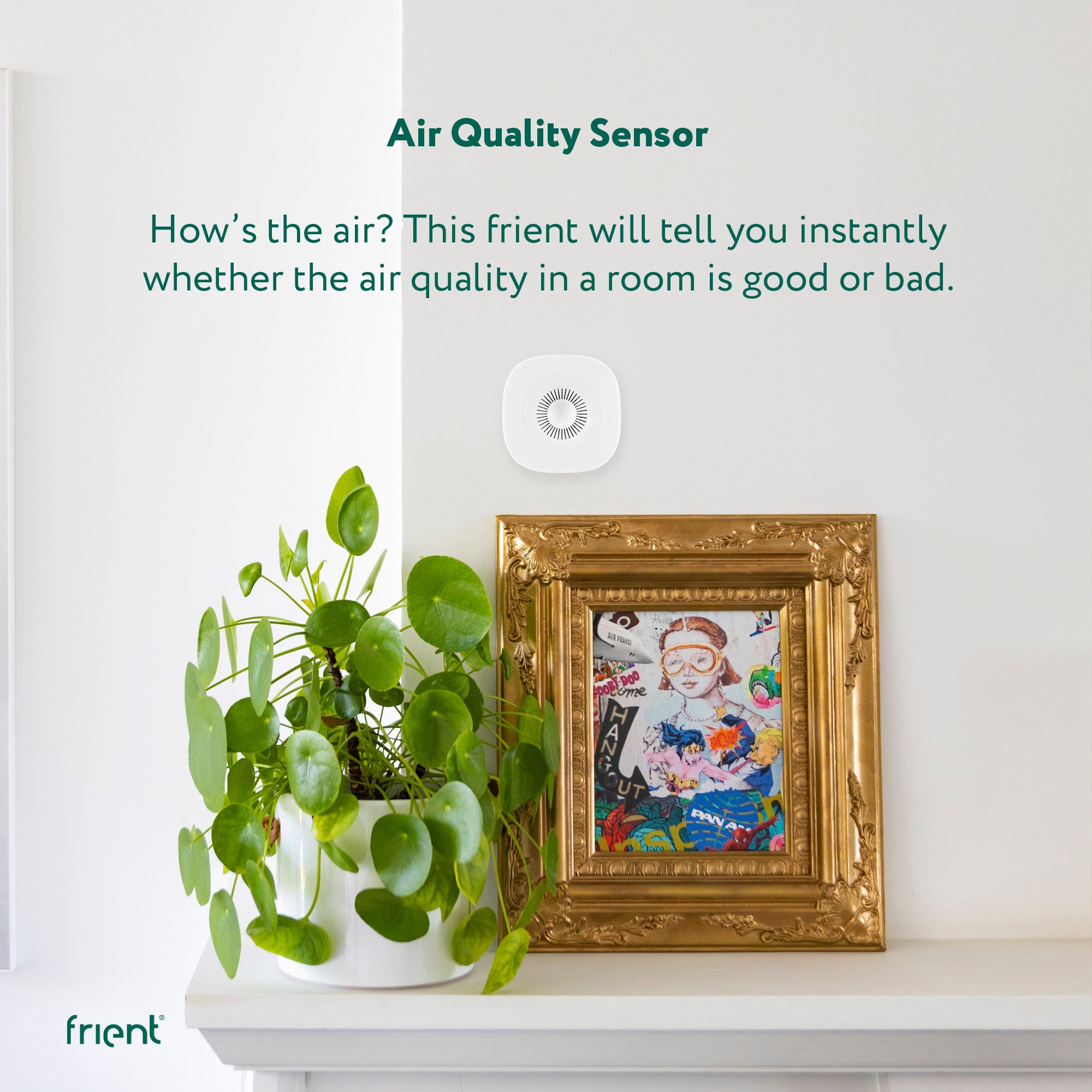 frient Smart Humidity Sensor (Zigbee)