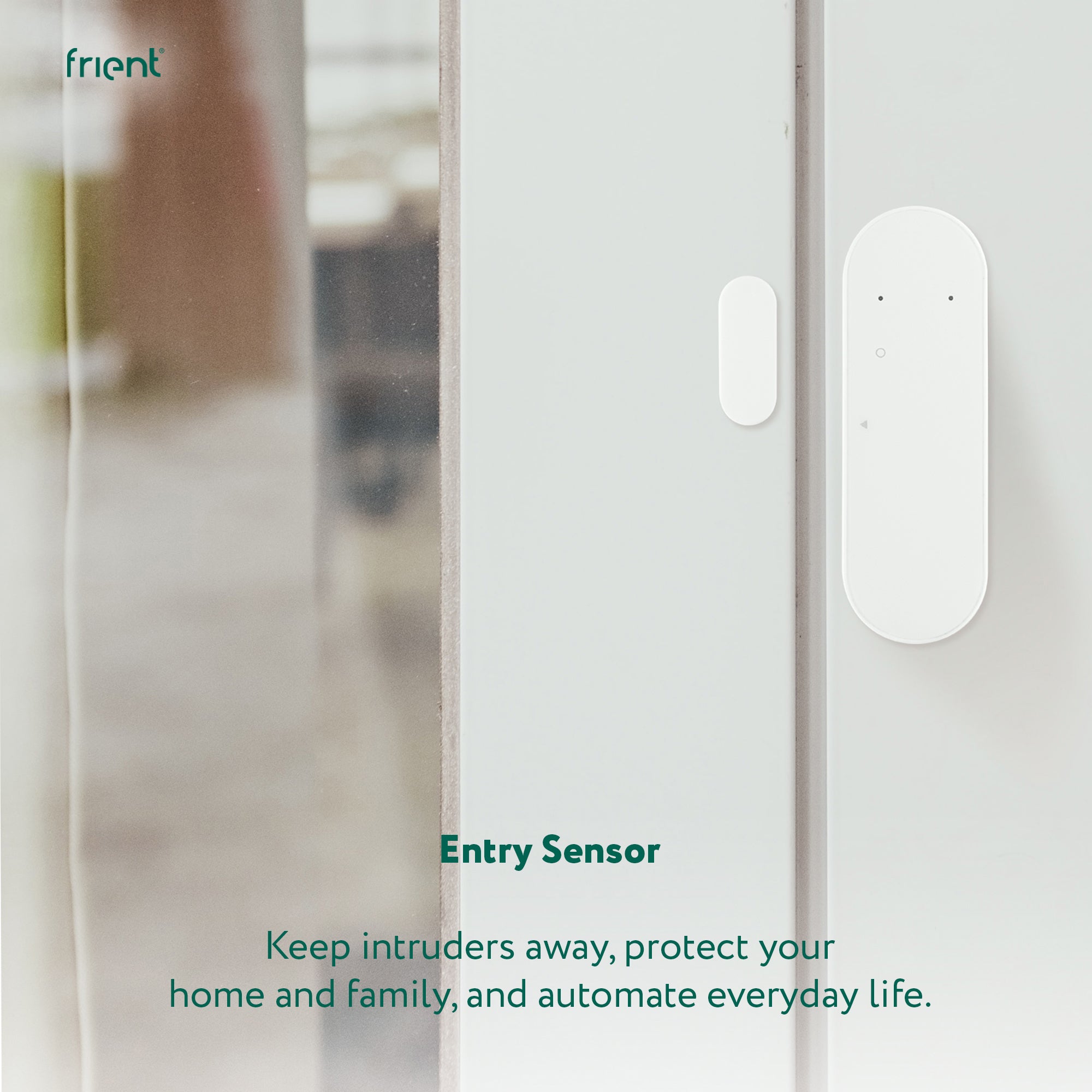 frient Entry Sensor Basic (Zigbee)