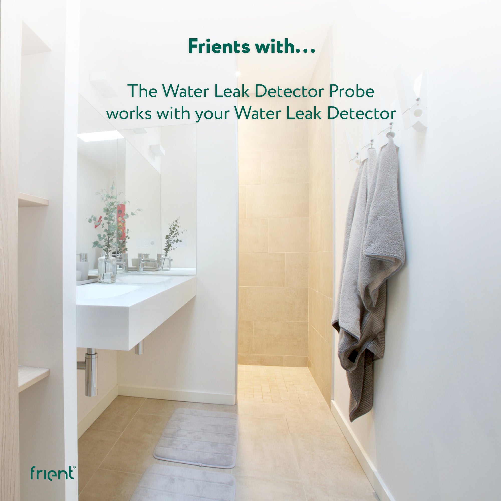 frient Water Leak Detector Probe