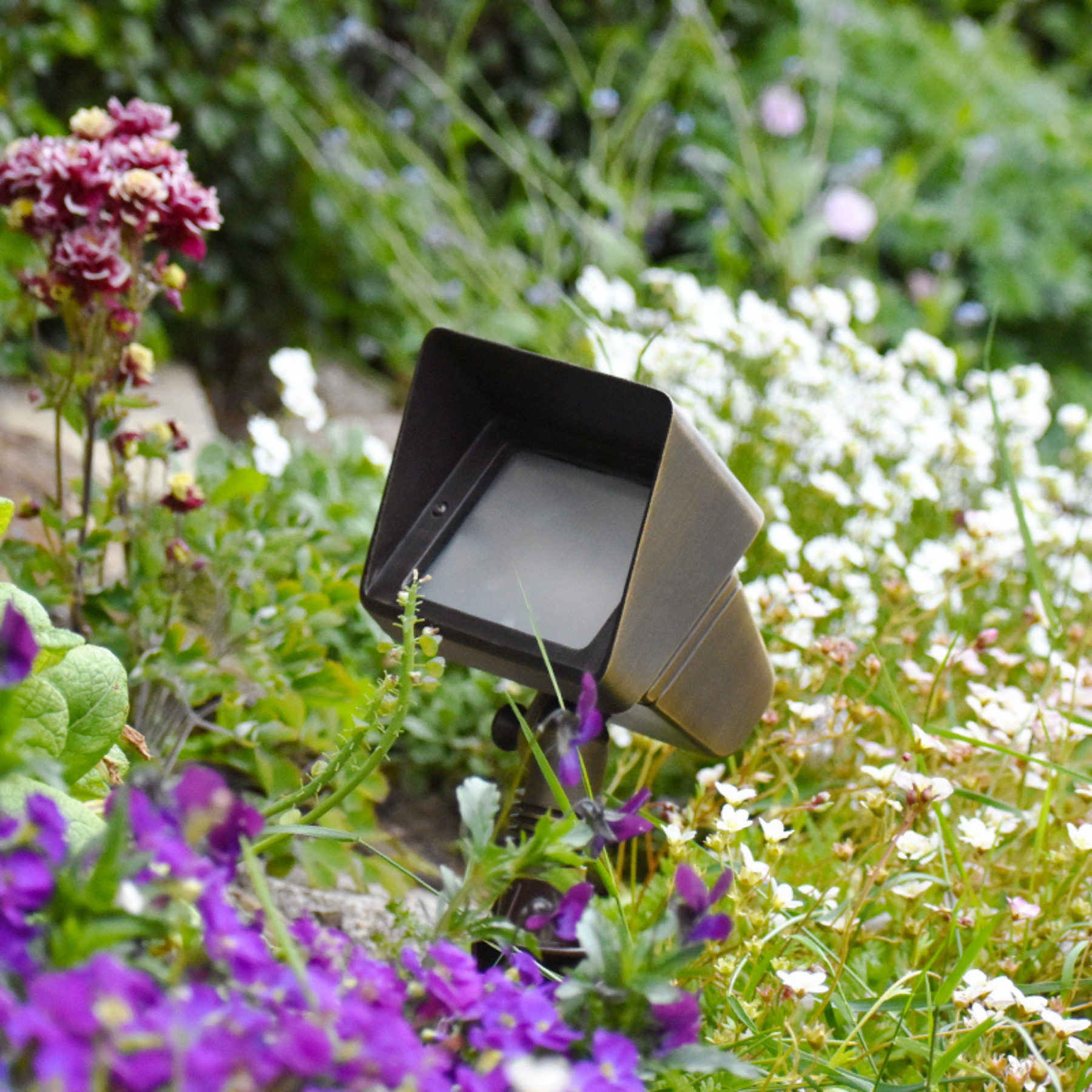 Brass Floodlight - Bronze Finish