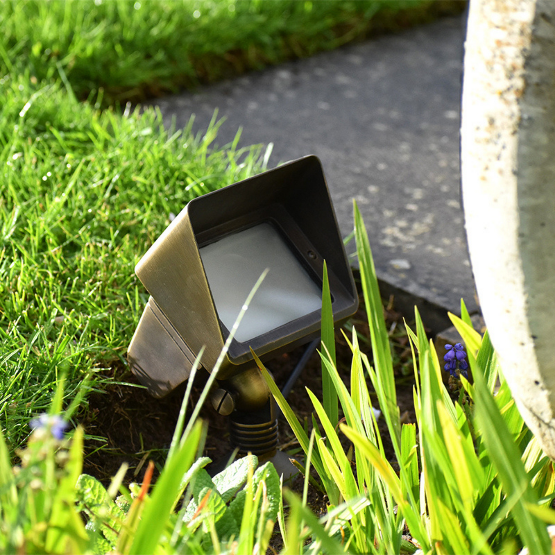 Brass Floodlight - Bronze Finish