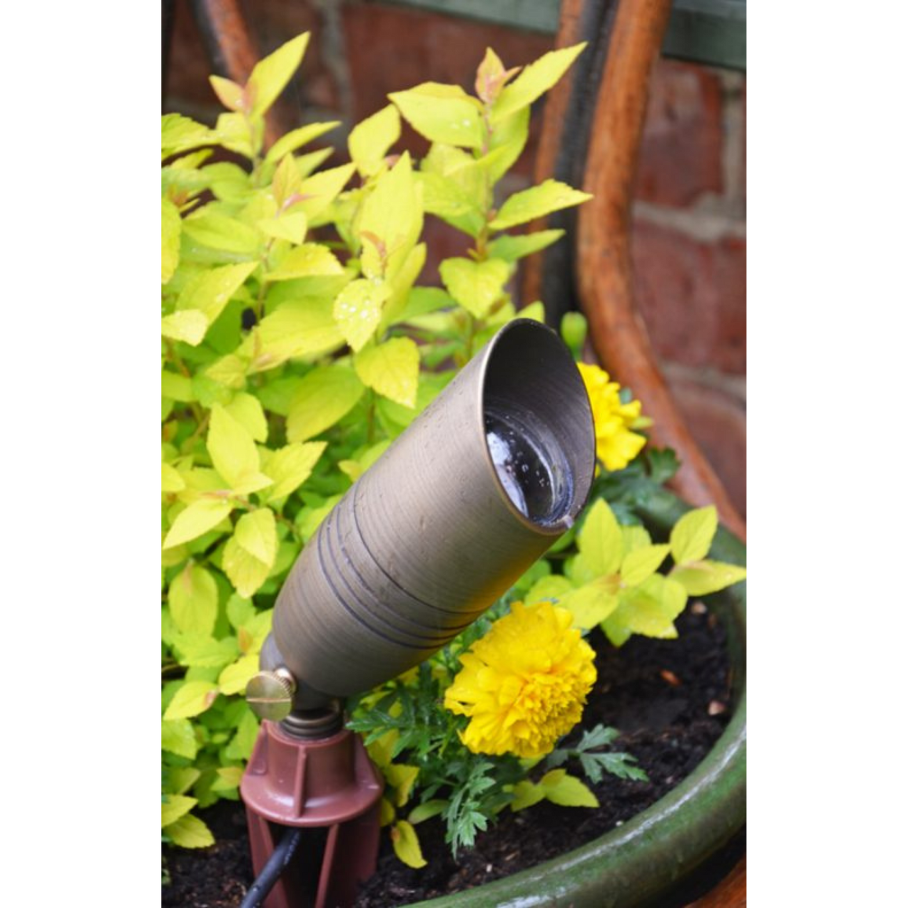 Solid Brass Spotlight - Bronze Finish